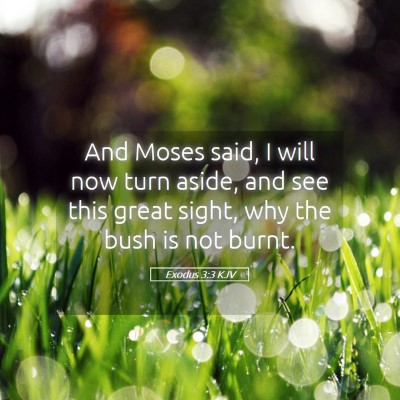 Picture 05 - Exodus 3:3 KJV - And Moses said, I will now turn aside, and see - Bible Verse Picture
