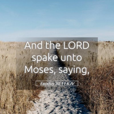 Picture 05 - Exodus 30:11 KJV - And the LORD spake unto Moses, - Bible Verse Picture