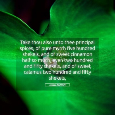 Picture 05 - Exodus 30:23 KJV - Take thou also unto thee principal spices, of - Bible Verse Picture