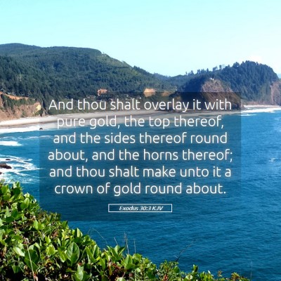 Picture 05 - Exodus 30:3 KJV - And thou shalt overlay it with pure gold, the top - Bible Verse Picture