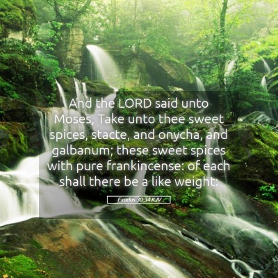 Picture 05 - Exodus 30:34 KJV - And the LORD said unto Moses, Take unto thee - Bible Verse Picture