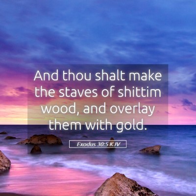 Picture 05 - Exodus 30:5 KJV - And thou shalt make the staves of shittim wood, - Bible Verse Picture