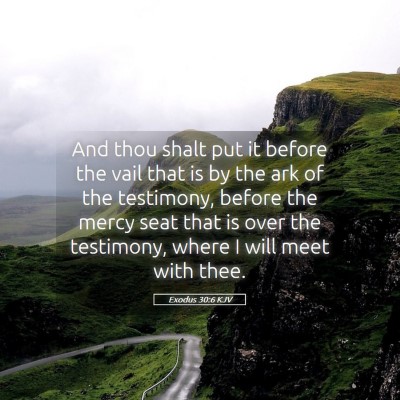 Picture 05 - Exodus 30:6 KJV - And thou shalt put it before the vail that is by - Bible Verse Picture