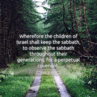 Picture 05 - Exodus 31:16 KJV - Wherefore the children of Israel shall keep the - Bible Verse Picture