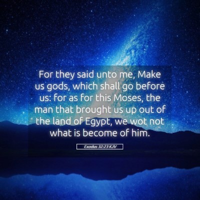 Picture 05 - Exodus 32:23 KJV - For they said unto me, Make us gods, which shall - Bible Verse Picture