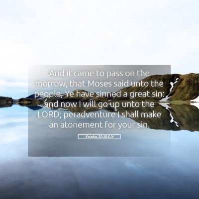Picture 05 - Exodus 32:30 KJV - And it came to pass on the morrow, that Moses - Bible Verse Picture
