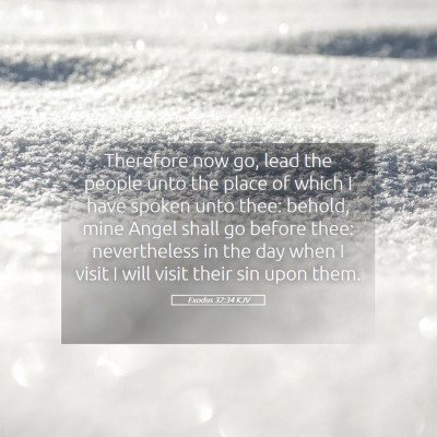 Picture 05 - Exodus 32:34 KJV - Therefore now go, lead the people unto the place - Bible Verse Picture