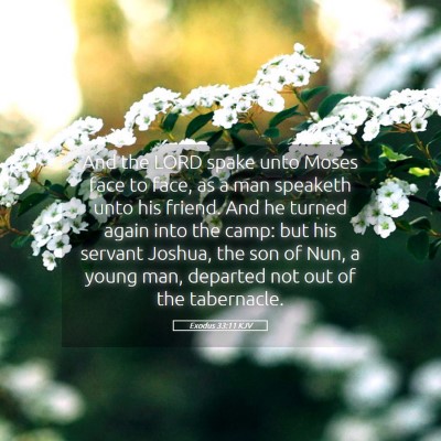 Picture 05 - Exodus 33:11 KJV - And the LORD spake unto Moses face to face, as a - Bible Verse Picture