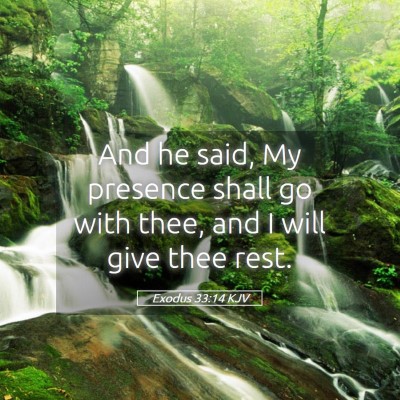 Picture 05 - Exodus 33:14 KJV - And he said, My presence shall go with thee, and - Bible Verse Picture