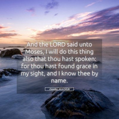 Picture 05 - Exodus 33:17 KJV - And the LORD said unto Moses, I will do this - Bible Verse Picture