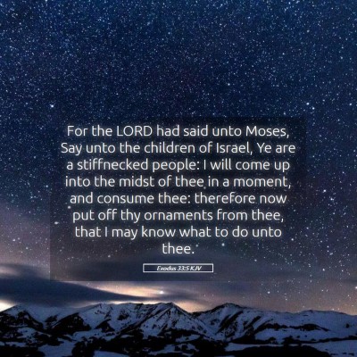 Picture 05 - Exodus 33:5 KJV - For the LORD had said unto Moses, Say unto the - Bible Verse Picture