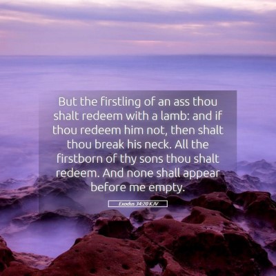 Picture 05 - Exodus 34:20 KJV - But the firstling of an ass thou shalt redeem - Bible Verse Picture