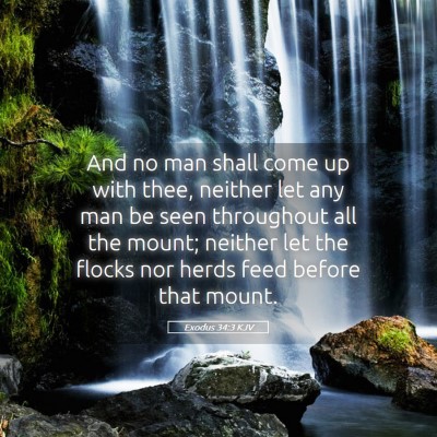 Picture 05 - Exodus 34:3 KJV - And no man shall come up with thee, neither let - Bible Verse Picture