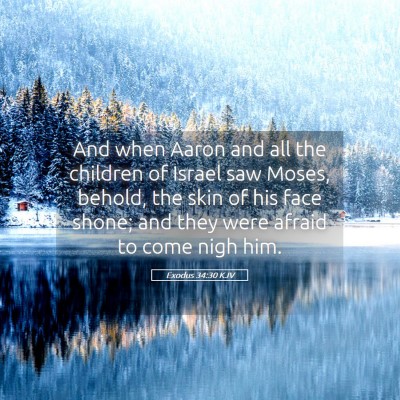 Picture 05 - Exodus 34:30 KJV - And when Aaron and all the children of Israel saw - Bible Verse Picture