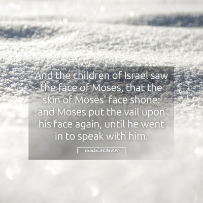 Picture 05 - Exodus 34:35 KJV - And the children of Israel saw the face of Moses, - Bible Verse Picture
