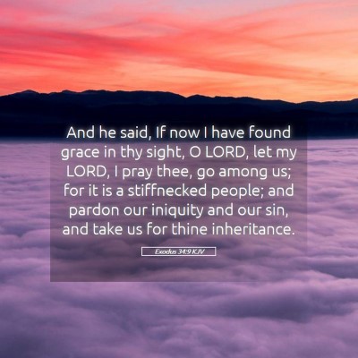 Picture 05 - Exodus 34:9 KJV - And he said, If now I have found grace in thy - Bible Verse Picture