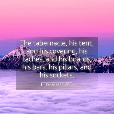 Picture 05 - Exodus 35:11 KJV - The tabernacle, his tent, and his covering, his - Bible Verse Picture