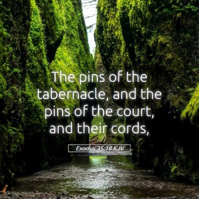 Picture 05 - Exodus 35:18 KJV - The pins of the tabernacle, and the pins of the - Bible Verse Picture