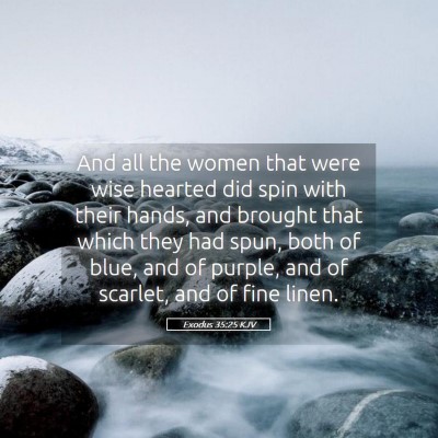 Picture 05 - Exodus 35:25 KJV - And all the women that were wise hearted did spin - Bible Verse Picture