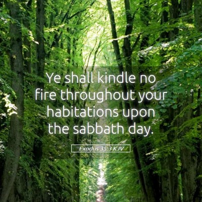 Picture 05 - Exodus 35:3 KJV - Ye shall kindle no fire throughout your - Bible Verse Picture