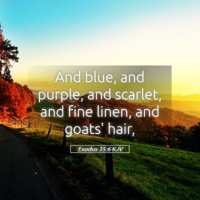 Picture 05 - Exodus 35:6 KJV - And blue, and purple, and scarlet, and fine - Bible Verse Picture
