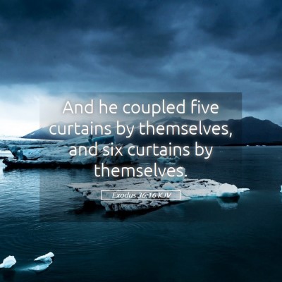 Picture 05 - Exodus 36:16 KJV - And he coupled five curtains by themselves, and - Bible Verse Picture