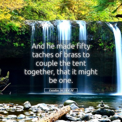Picture 05 - Exodus 36:18 KJV - And he made fifty taches of brass to couple the - Bible Verse Picture