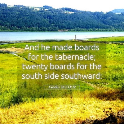 Picture 05 - Exodus 36:23 KJV - And he made boards for the tabernacle; twenty - Bible Verse Picture
