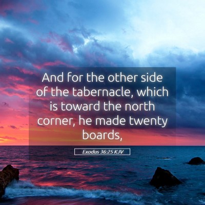Picture 05 - Exodus 36:25 KJV - And for the other side of the tabernacle, which - Bible Verse Picture