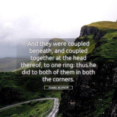 Picture 05 - Exodus 36:29 KJV - And they were coupled beneath, and coupled - Bible Verse Picture