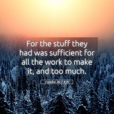 Picture 05 - Exodus 36:7 KJV - For the stuff they had was sufficient for all the - Bible Verse Picture