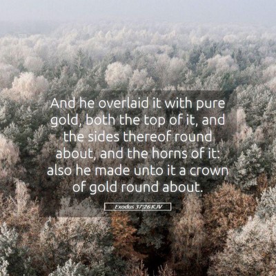 Picture 05 - Exodus 37:26 KJV - And he overlaid it with pure gold, both the top - Bible Verse Picture