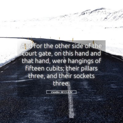 Picture 05 - Exodus 38:15 KJV - And for the other side of the court gate, on this - Bible Verse Picture