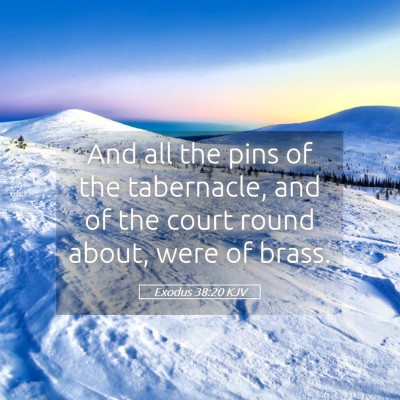 Picture 05 - Exodus 38:20 KJV - And all the pins of the tabernacle, and of the - Bible Verse Picture