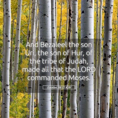 Picture 05 - Exodus 38:22 KJV - And Bezaleel the son Uri, the son of Hur, of the - Bible Verse Picture