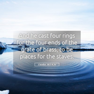 Picture 05 - Exodus 38:5 KJV - And he cast four rings for the four ends of the - Bible Verse Picture