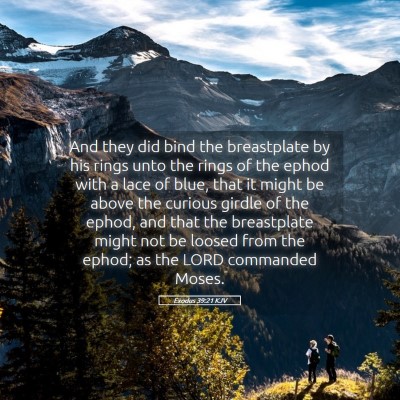 Picture 05 - Exodus 39:21 KJV - And they did bind the breastplate by his rings - Bible Verse Picture