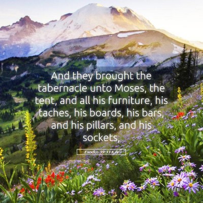 Picture 05 - Exodus 39:33 KJV - And they brought the tabernacle unto Moses, the - Bible Verse Picture