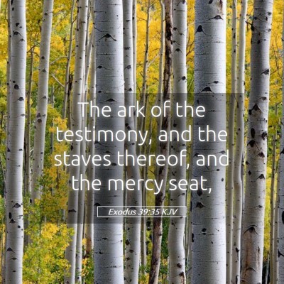 Picture 05 - Exodus 39:35 KJV - The ark of the testimony, and the staves thereof, - Bible Verse Picture