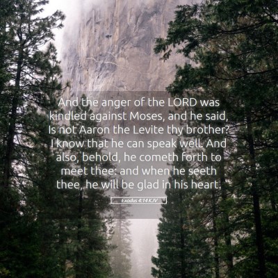 Picture 05 - Exodus 4:14 KJV - And the anger of the LORD was kindled against - Bible Verse Picture