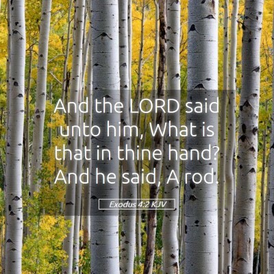 Picture 05 - Exodus 4:2 KJV - And the LORD said unto him, What is that in thine - Bible Verse Picture