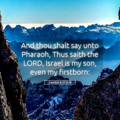 Picture 05 - Exodus 4:22 KJV - And thou shalt say unto Pharaoh, Thus saith the - Bible Verse Picture