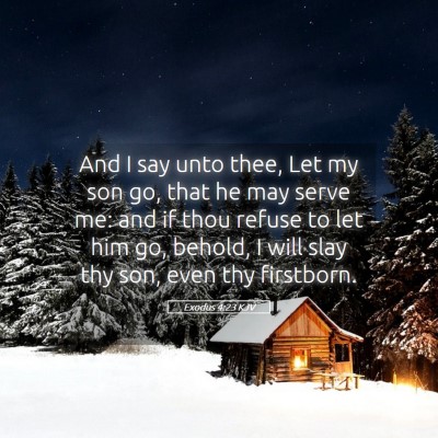 Picture 05 - Exodus 4:23 KJV - And I say unto thee, Let my son go, that he may - Bible Verse Picture