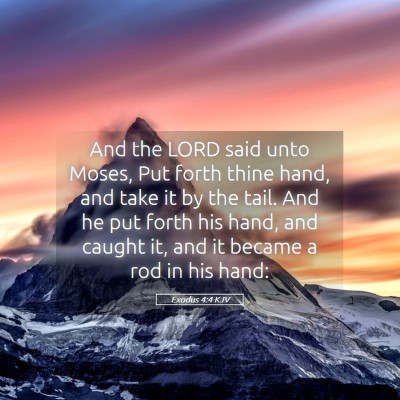 Picture 05 - Exodus 4:4 KJV - And the LORD said unto Moses, Put forth thine - Bible Verse Picture