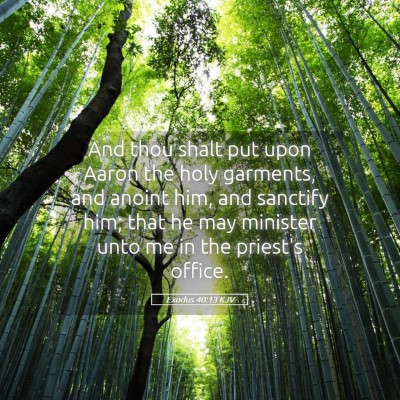 Picture 05 - Exodus 40:13 KJV - And thou shalt put upon Aaron the holy garments, - Bible Verse Picture