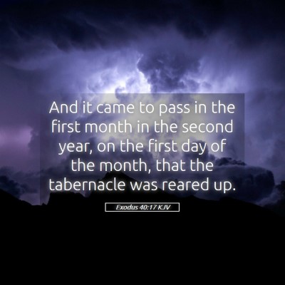 Picture 05 - Exodus 40:17 KJV - And it came to pass in the first month in the - Bible Verse Picture