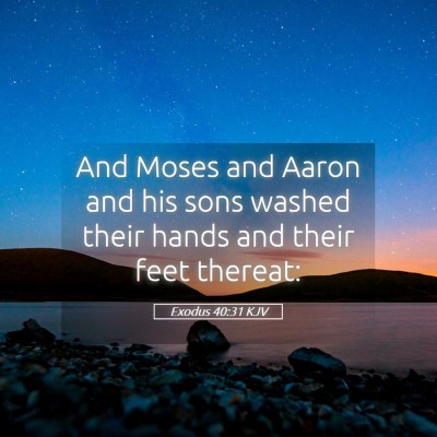 Picture 05 - Exodus 40:31 KJV - And Moses and Aaron and his sons washed their - Bible Verse Picture