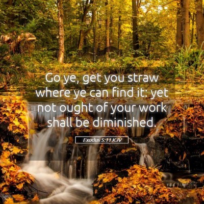 Picture 05 - Exodus 5:11 KJV - Go ye, get you straw where ye can find it: yet - Bible Verse Picture
