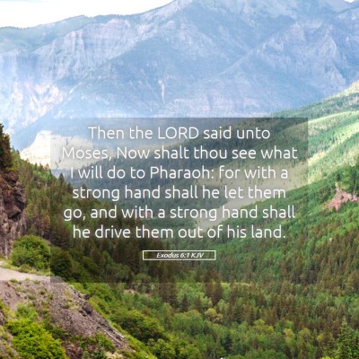 Picture 05 - Exodus 6:1 KJV - Then the LORD said unto Moses, Now shalt thou see - Bible Verse Picture