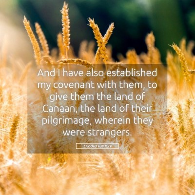 Picture 05 - Exodus 6:4 KJV - And I have also established my covenant with - Bible Verse Picture